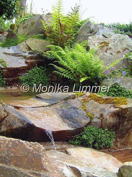 Bachlauf im lost garden.jpg